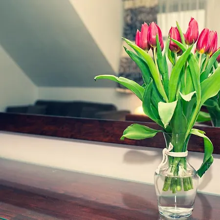 Gosciniec Molo Rezort *